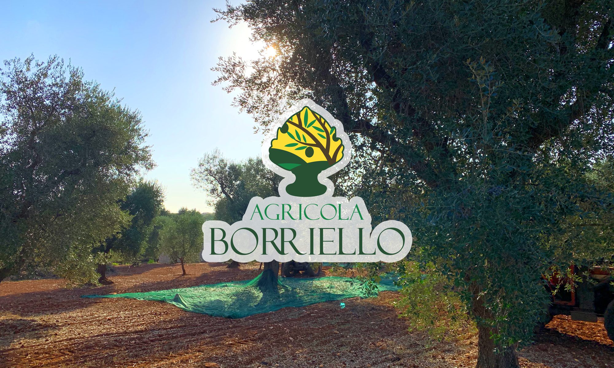 Agricola Borriello